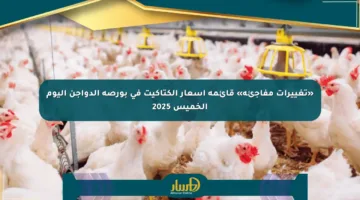 «تغييرات مفاجئة» قائمة أسعار الكتاكيت في بورصة الدواجن اليوم الخميس 2025